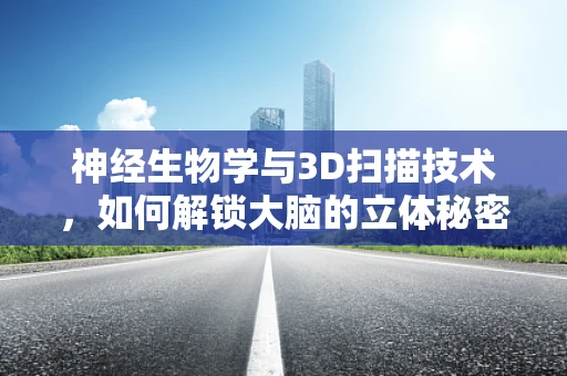 神经生物学与3D扫描技术，如何解锁大脑的立体秘密？