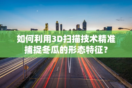 如何利用3D扫描技术精准捕捉冬瓜的形态特征？