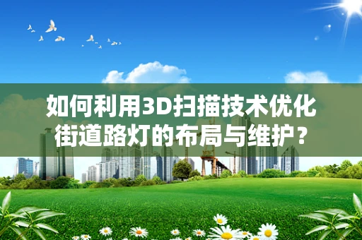 如何利用3D扫描技术优化街道路灯的布局与维护？