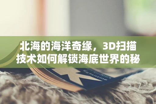 北海的海洋奇缘，3D扫描技术如何解锁海底世界的秘密？