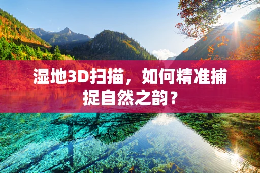 湿地3D扫描，如何精准捕捉自然之韵？