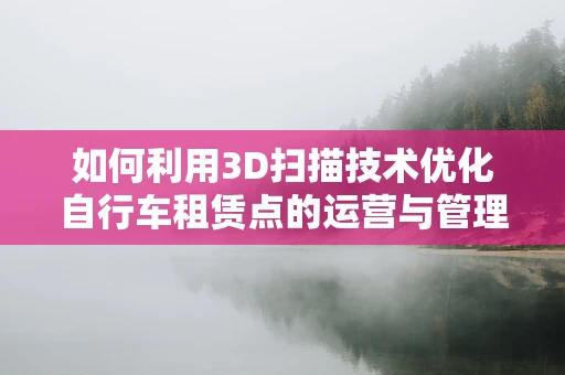 如何利用3D扫描技术优化自行车租赁点的运营与管理？