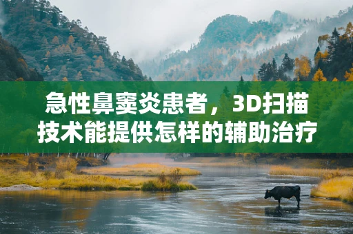 急性鼻窦炎患者，3D扫描技术能提供怎样的辅助治疗新视角？