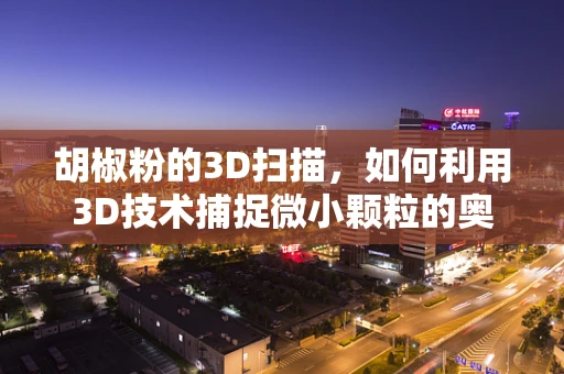 胡椒粉的3D扫描，如何利用3D技术捕捉微小颗粒的奥秘？
