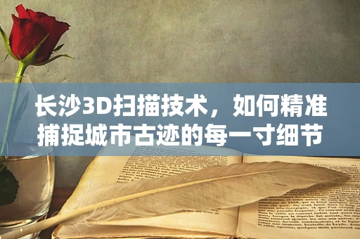 长沙3D扫描技术，如何精准捕捉城市古迹的每一寸细节？
