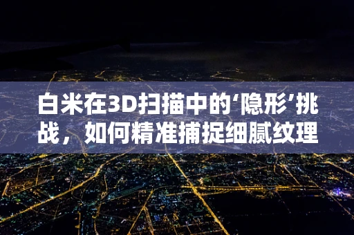 白米在3D扫描中的‘隐形’挑战，如何精准捕捉细腻纹理？