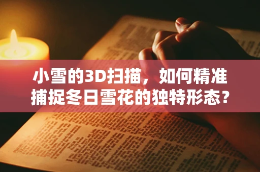 小雪的3D扫描，如何精准捕捉冬日雪花的独特形态？