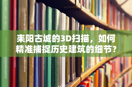 耒阳古城的3D扫描，如何精准捕捉历史建筑的细节？