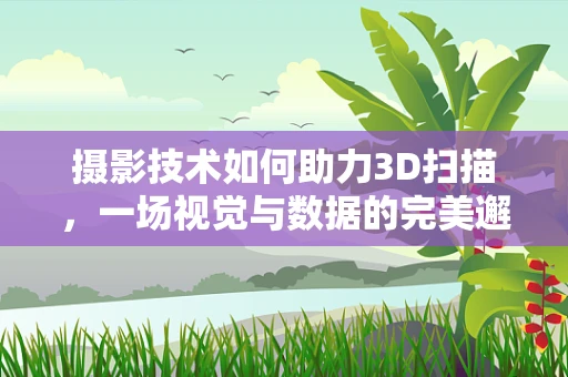 摄影技术如何助力3D扫描，一场视觉与数据的完美邂逅？