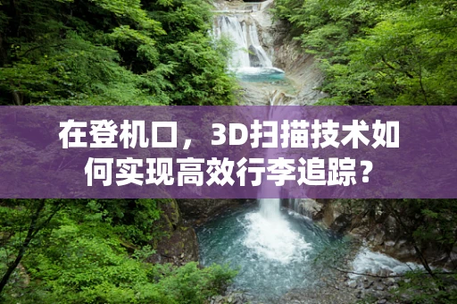 在登机口，3D扫描技术如何实现高效行李追踪？