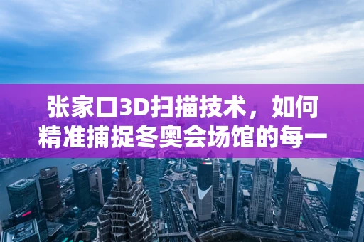 张家口3D扫描技术，如何精准捕捉冬奥会场馆的每一处细节？