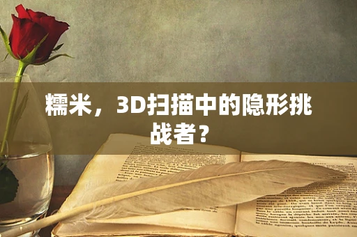 糯米，3D扫描中的隐形挑战者？