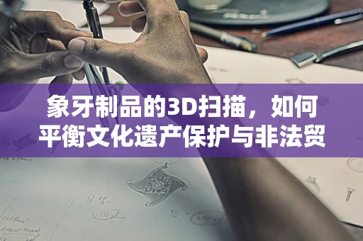 象牙制品的3D扫描，如何平衡文化遗产保护与非法贸易的界限？