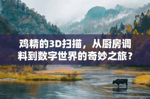鸡精的3D扫描，从厨房调料到数字世界的奇妙之旅？