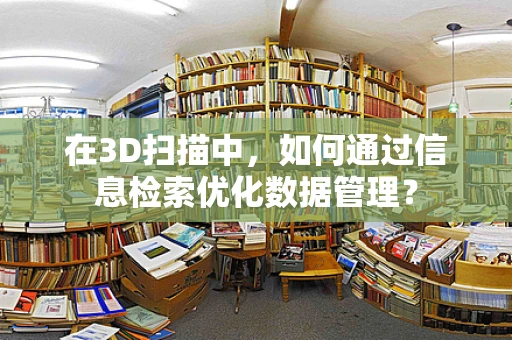 在3D扫描中，如何通过信息检索优化数据管理？