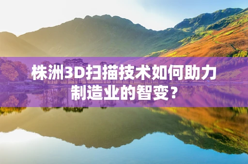 株洲3D扫描技术如何助力制造业的智变？