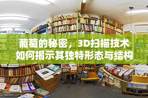 葡萄的秘密，3D扫描技术如何揭示其独特形态与结构？