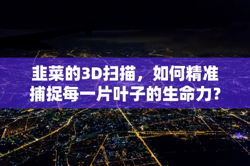 韭菜的3D扫描，如何精准捕捉每一片叶子的生命力？