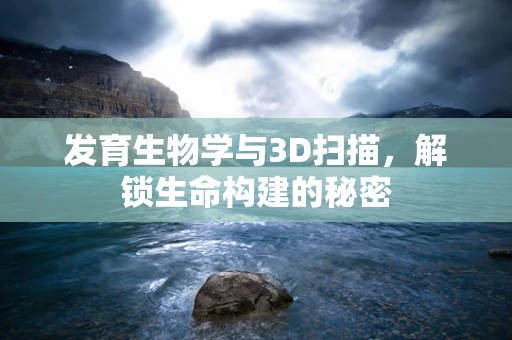 发育生物学与3D扫描，解锁生命构建的秘密