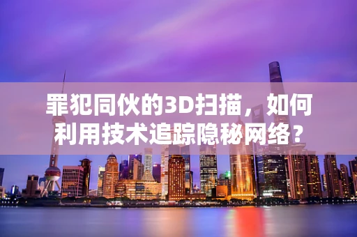 罪犯同伙的3D扫描，如何利用技术追踪隐秘网络？
