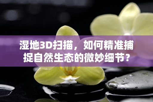 湿地3D扫描，如何精准捕捉自然生态的微妙细节？