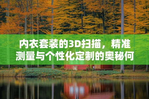 内衣套装的3D扫描，精准测量与个性化定制的奥秘何在？