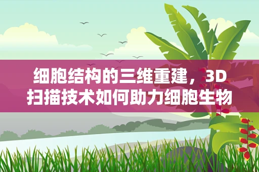 细胞结构的三维重建，3D扫描技术如何助力细胞生物学研究？