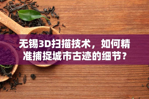 无锡3D扫描技术，如何精准捕捉城市古迹的细节？