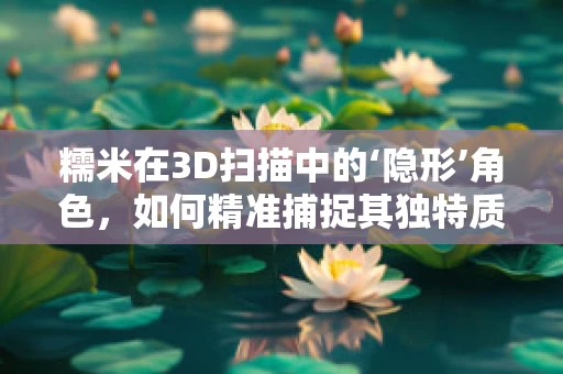 糯米在3D扫描中的‘隐形’角色，如何精准捕捉其独特质感？