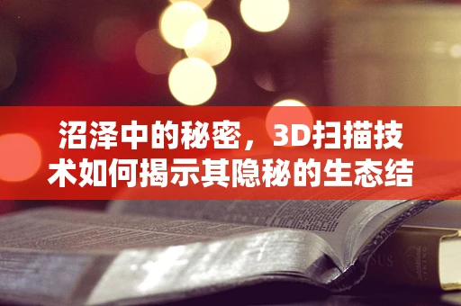 沼泽中的秘密，3D扫描技术如何揭示其隐秘的生态结构？