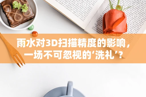 雨水对3D扫描精度的影响，一场不可忽视的‘洗礼’？