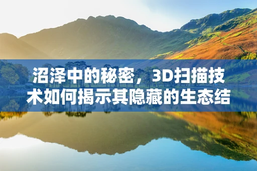 沼泽中的秘密，3D扫描技术如何揭示其隐藏的生态结构？