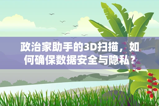 政治家助手的3D扫描，如何确保数据安全与隐私？