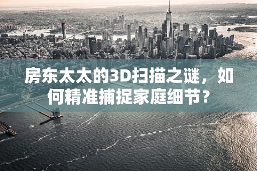 房东太太的3D扫描之谜，如何精准捕捉家庭细节？