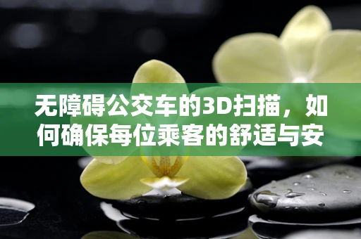 无障碍公交车的3D扫描，如何确保每位乘客的舒适与安全？
