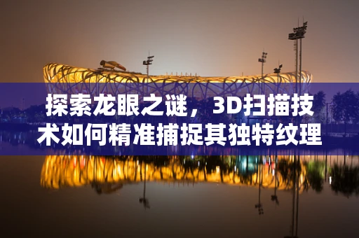探索龙眼之谜，3D扫描技术如何精准捕捉其独特纹理？