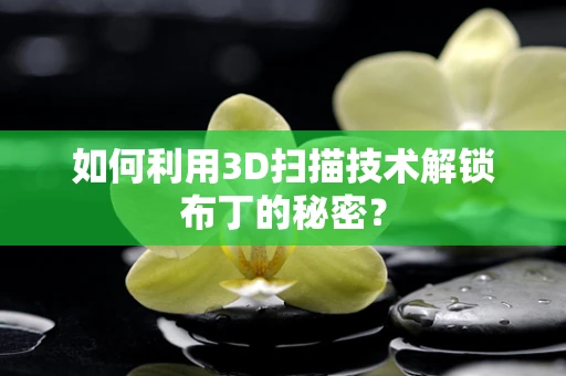 如何利用3D扫描技术解锁布丁的秘密？