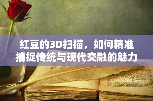 红豆的3D扫描，如何精准捕捉传统与现代交融的魅力？