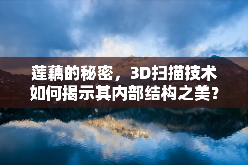莲藕的秘密，3D扫描技术如何揭示其内部结构之美？
