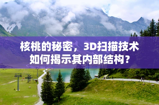 核桃的秘密，3D扫描技术如何揭示其内部结构？