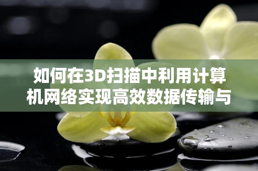 如何在3D扫描中利用计算机网络实现高效数据传输与处理？