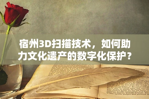 宿州3D扫描技术，如何助力文化遗产的数字化保护？