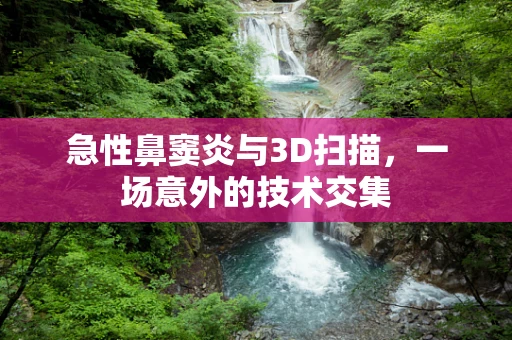 急性鼻窦炎与3D扫描，一场意外的技术交集