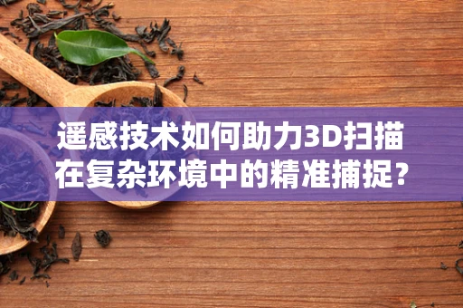 遥感技术如何助力3D扫描在复杂环境中的精准捕捉？