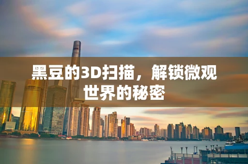 黑豆的3D扫描，解锁微观世界的秘密