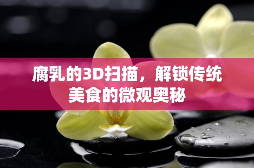 腐乳的3D扫描，解锁传统美食的微观奥秘