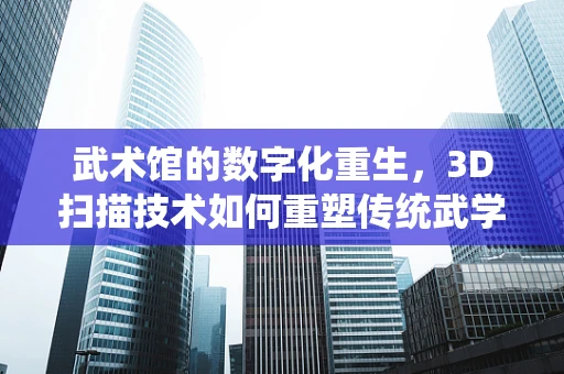 武术馆的数字化重生，3D扫描技术如何重塑传统武学？