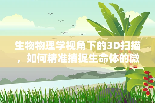 生物物理学视角下的3D扫描，如何精准捕捉生命体的微妙结构？