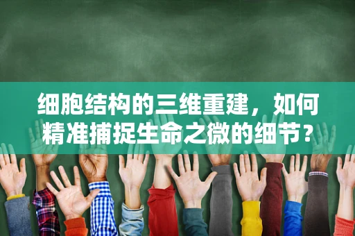细胞结构的三维重建，如何精准捕捉生命之微的细节？