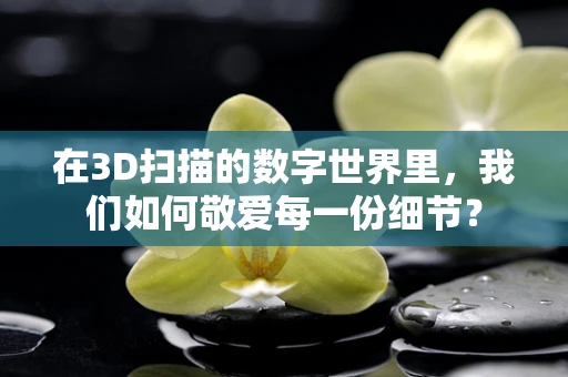 在3D扫描的数字世界里，我们如何敬爱每一份细节？